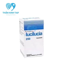 Lucilucia 250 Injection - Điều trị lão hóa não, chấn thương sọ não